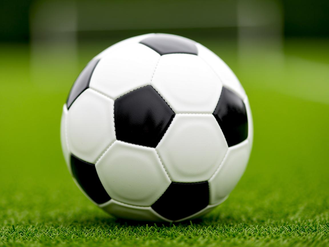 开云体育在线官网-冬奥训练加入体温调节实验性项目，冬奥会 训练  第2张