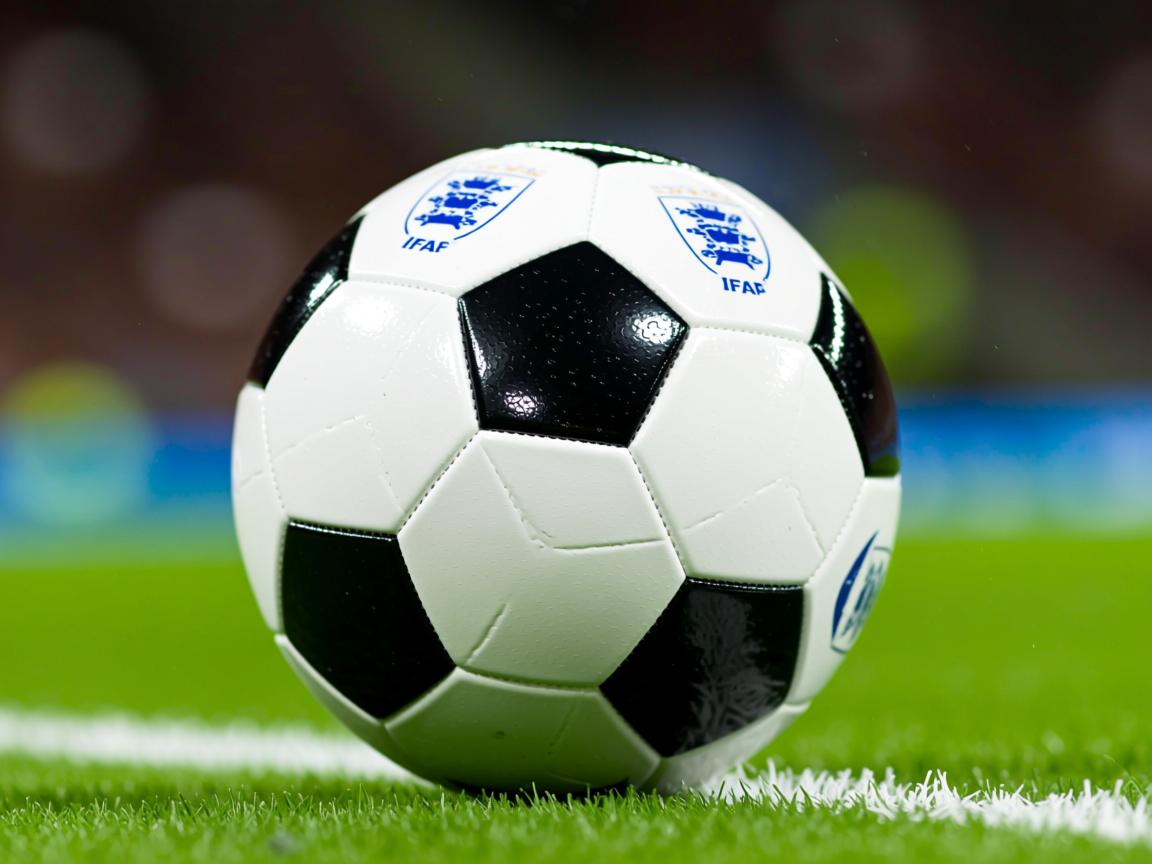 开云官网-双塔阵容在现代篮球中的新生思路，双塔组合拿过什么冠军  第3张