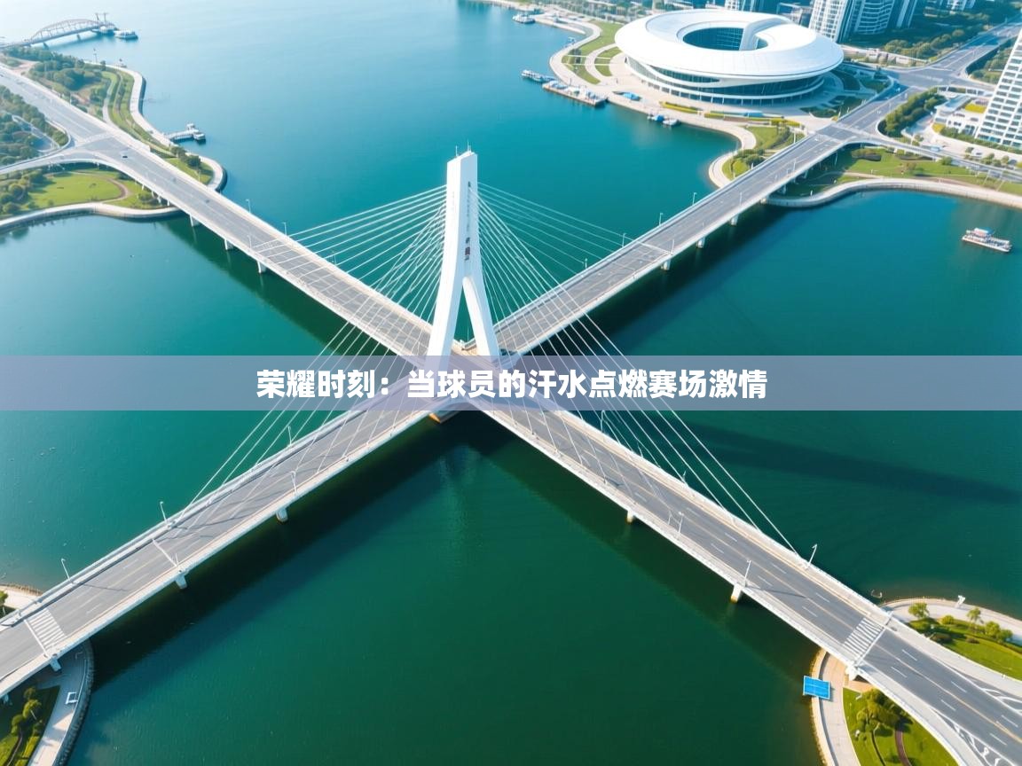 荣耀时刻:当球员的汗水点燃赛场激情 第1张