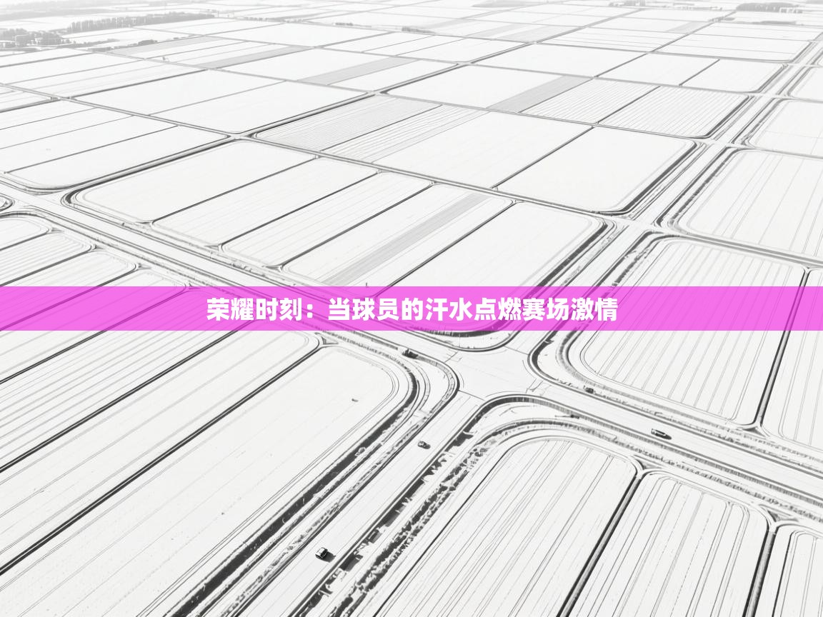 荣耀时刻:当球员的汗水点燃赛场激情 第2张