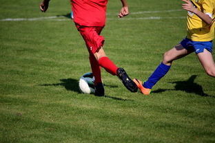 开云体育足球-“拳王争霸：四川省体育馆拳击赛将诞生新的世界拳王”