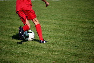 开运体育电脑版-体育新闻中心发布体育短视频内容运营新策略，体育短视频存在的问题  第1张